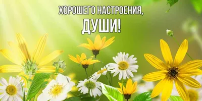 Открытка для любимых и родных души Хорошего настроения. Открытки на каждый  день с пожеланиями для родственников.