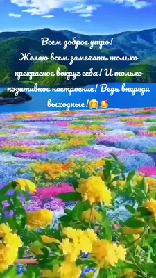 Настроение Души - Настроение Души added a new photo.