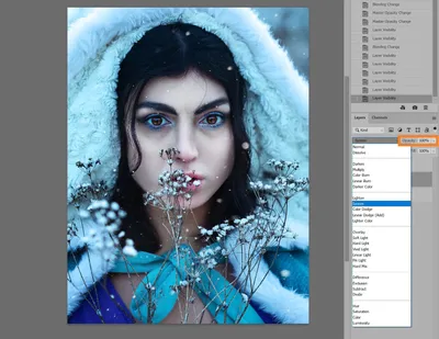 Как купить Adobe Photoshop лицензию в 2023, и зачем он нужен