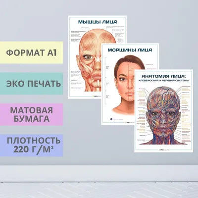 Стартовый набор косметолога эстетиста / Интернет-магазин MedicalMag.ru