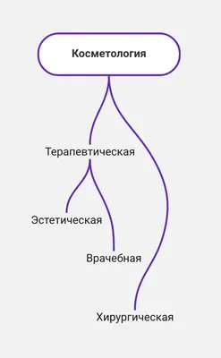 Продвижение блога косметолога в Инстаграм: кейсы из сети