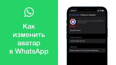 Как установить или поменять аватарку в WhatsApp? Показываю в картинках |  Mr.Android — эксперт по гаджетам | Дзен