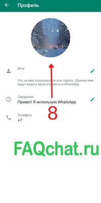 Бизнес-аккаунт WhatsApp: полная инструкция по использованию