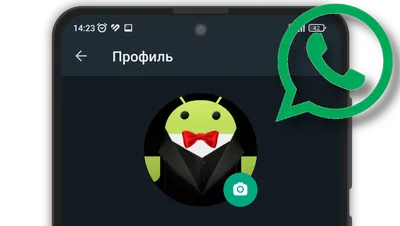 Цифровая версия себя»: в WhatsApp запустили аватары