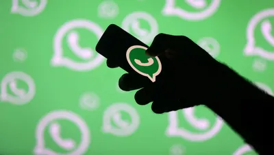 WhatsApp Business: как быть ближе к клиентам и повысить открываемость  сообщений до 90%