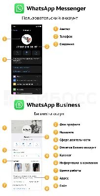 Альтернативная функция профиля WhatsApp лучше защитит вашу  конфиденциальность - TechWar.GR