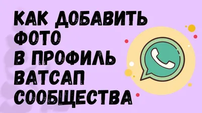 7 фишек WhatsApp: полезные и новые возможности | РБК Life