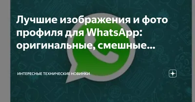 Лучшие изображения и фото профиля для WhatsApp: оригинальные, смешные… |  Интересные Технические Новинки | Дзен