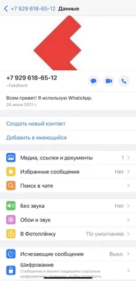 Ссылка на WhatsApp Api: делаем ссылку и отправляем в чат | Wazzup