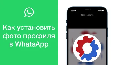 Ссылка на WhatsApp в шапке профиля🌸 | Instagram