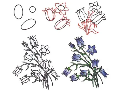 Легкие цветы для срисовки карандашом - 72 фото