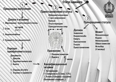 Что такое статус в Ватсап и как им пользоваться | AppleInsider.ru