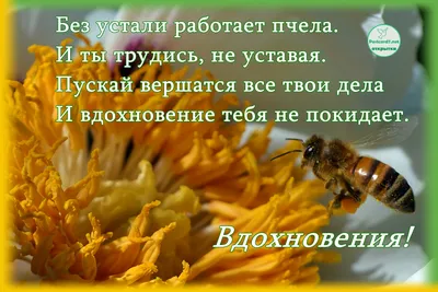 Комплект книг в подарочном коробе \"Коробка вдохновения\" - Магазин -  Комсомольская правда