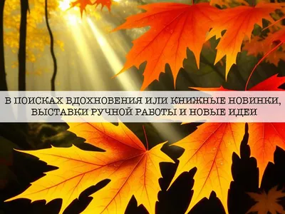 Книга вдохновения. Дарья Левина - «Книга вдохновения - неплоха для  расслабления и перезагрузки» | отзывы