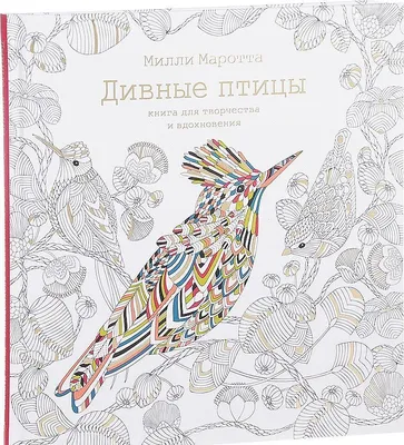 Как сменить позиционирование бренда и привлечь более молодую аудиторию:  кейс «Вдохновения» и «СберСеллера»