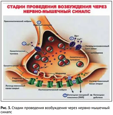 Скачать «Курс эротического массажа с техниками для возбуждения» [Виталий  Аэра]