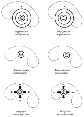 Возбуждение и торможение в сбалансированной жизни изображенной как  торможение возбуждения слов в руках, чтобы показать, что тормож Иллюстрация  штока - иллюстрации насчитывающей ингибитирование, выпечки: 183148462