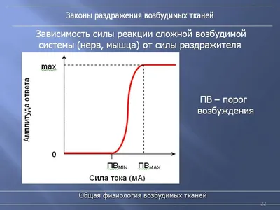 Изменение порядка возбуждения уголовных дел о налоговых преступлениях:  новые поправки в УПК РФ