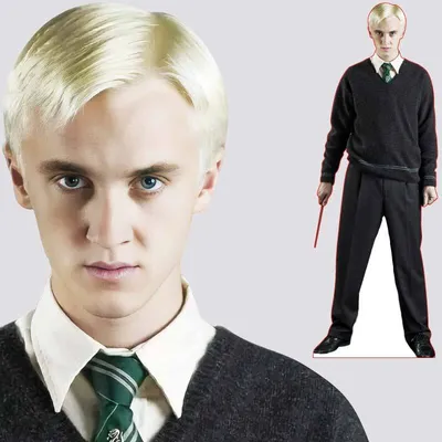 Ростовая фигура Драко Малфой (Draco Malfoy) вид 8 (635х1800 мм) - купить по  выгодной цене | Магазин шаблонов Принт100