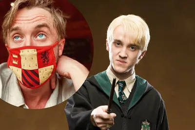 Ростовая фигура Драко Малфой (Draco Malfoy) вид 7 (450х1800 мм) - купить по  выгодной цене | Магазин шаблонов Принт100