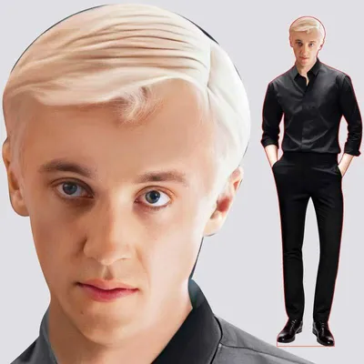 Draco Malfoy | Драко малфой, Гарри поттер, Драко