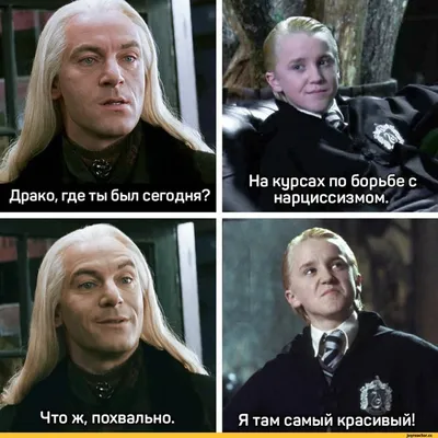 Купить наклейки Гарри Поттер, Драко Малфой, Draco Malfoy водостойкие 50шт  (3-6см), цены на Мегамаркет | Артикул: 600005920718