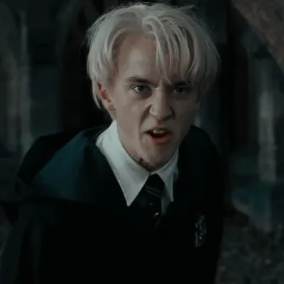 icon draco malfoy | Драко малфой, Гарри поттер фотографии, Гарри поттер