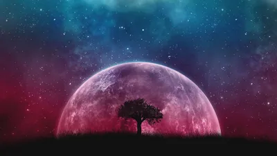 Download wallpaper 1920x1080 tree, planet, stars, galaxy, art full hd,  hdtv, fhd, 1080p hd background