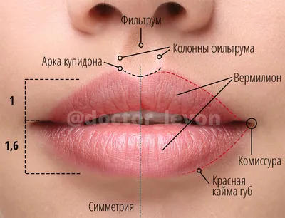 Губы «дьявола» – самый жуткий бьюти-тренд года, который придумал курьер -  7Дней.ру