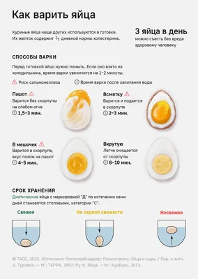 Яйца куриные вареные в маринаде Молодецкие, очищенные, 500 г - купить с  доставкой по выгодным ценам в интернет-магазине OZON (1058350801)