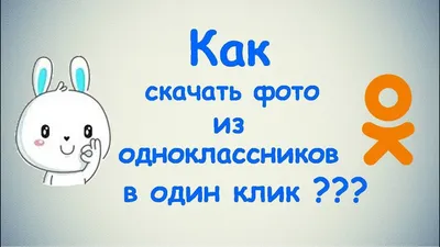 Итоги 2019 года Одноклассников в Узбекистане: рекордное число отправленных  подарков и рост сервисов по обмену эмоциями