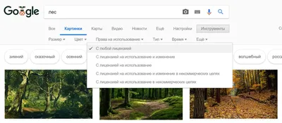 Как законно использовать картинки из Интернета Navika.Pro | Обучающий  портал для предпринимателей и маркетологов