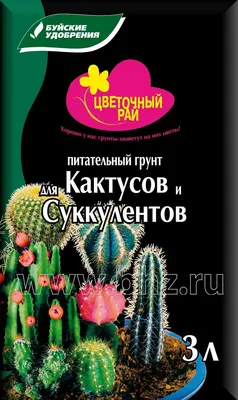 Кактус Лесландия Забавные Кактусы Микс, 15 шт - купить по выгодным ценам в  интернет-магазине OZON (354131957)