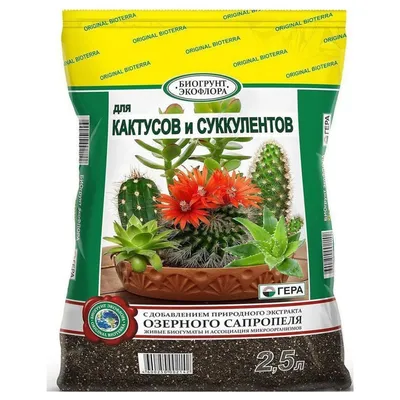 ❀ Садовый кактус - опунция! | GreenMarket