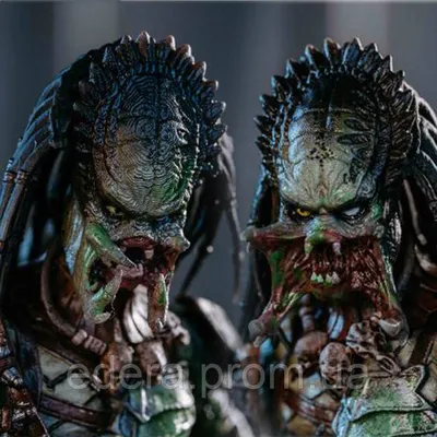 Predator (фильм) (Хищник) :: AVP / смешные картинки и другие приколы:  комиксы, гиф анимация, видео, лучший интеллектуальный юмор.