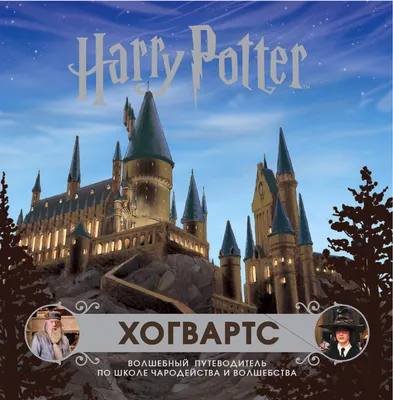 Трехмерная головоломка-конструктор CubicFun Замок Хогвартс Harry Potter  (Ds1013H) - купить в Киеве по выгодной цене от 1399 грн., продажа в  интернет магазине канцтоваров VV.ua