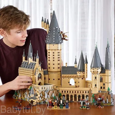 Конструктор LEGO Harry Potter Хогвартс: Тайная комната 76389 купить по цене  119490 ₸ в интернет-магазине Детский мир