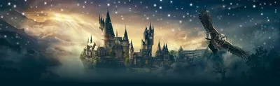 LEGO: Хогвартс: Кабинет Дамблдора Harry Potter 76402: купить недорогой  конструктор из серии LEGO Harry Potter в интернет-магазине Marwin | Алматы,  Казахстан