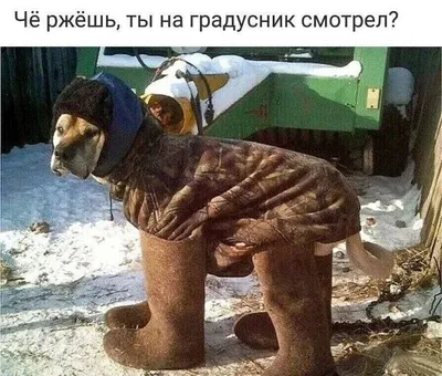 Доброе утро! Холодно блин :(