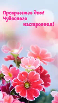 С праздником! Хорошего настроения на весь день!