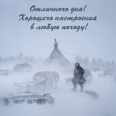 X 上的 Алексей：「С добрым утром, друзья!!! https://t.co/Nz8659Kqng」 / X