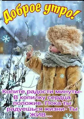 ДОБРОЕ УТРО! 🎄💖⛄🍒❄🎇❄🍒⛄💖🎄 ХОРОШЕГО НАСТРОЕНИЯ В ЛЮБУЮ ПОГОДУ! 🌨☀❄ |  Доброе утро, Счастливые картинки, Смешные открытки