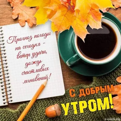 ДОБРОЕ УТРО! 🍁🍒🍫☕🍂🍎🍂☕🥧🍒🍁 Хорошего настроения в любую погоду! |  Смешные счастливые дни рождения, Доброе утро, Фотографии для мотивации