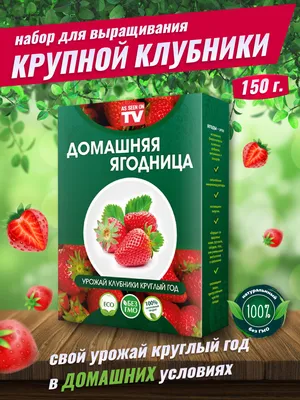 КЛУБНИКА ИСКУШЕНИЕ: купить саженцы клубники искушение почтой | PLOD.UA