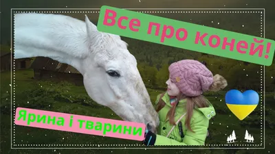 Купити картину з гобелену Табун коней 67х38 см.