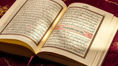 12 наставлений из Корана на каждый день | islam.ru