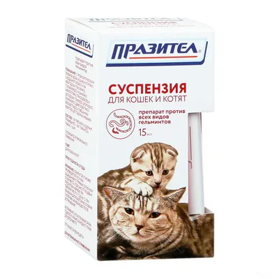 Купить Влажный корм Monge Cat BWild GRAIN FREE для котят и кошек крупных  пород, из мяса буйвола с овощами, паучи 85 г в интернет-магазине Monge