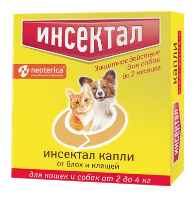 🐱🐶Почему кошки и собаки не любят друг друга | Нос, хвост, лапы | Дзен