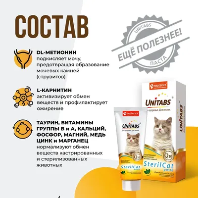 Игровой комплекс для кошек, подвесной мост для котов, полка для кота  (ID#669711580), цена: 600 ₴, купить на Prom.ua