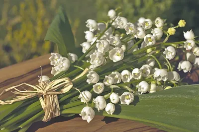 Картина Ландыши, купить картину с ландышами